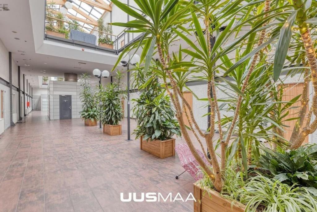 Charming Loft Near Old Town Apartment Tallinn Exterior photo